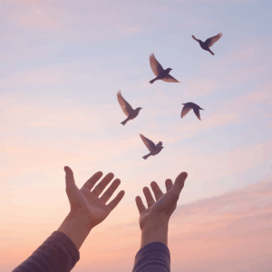 Hände lassen Vögel in den hellen Morgenhimmel steigen – Symbol für Hoffnung, Neubeginn und Sorgen loslassen mit Christian Schober in Graz