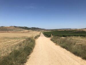 Weg als Symbol für bewusste Veränderung und persönliches Wachstum Der Weg beginnt bei dir.